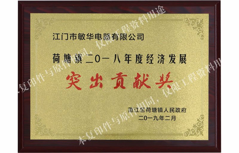 2018年度經(jīng)濟(jì)發(fā)展突然貢獻(xiàn)獎(jiǎng)